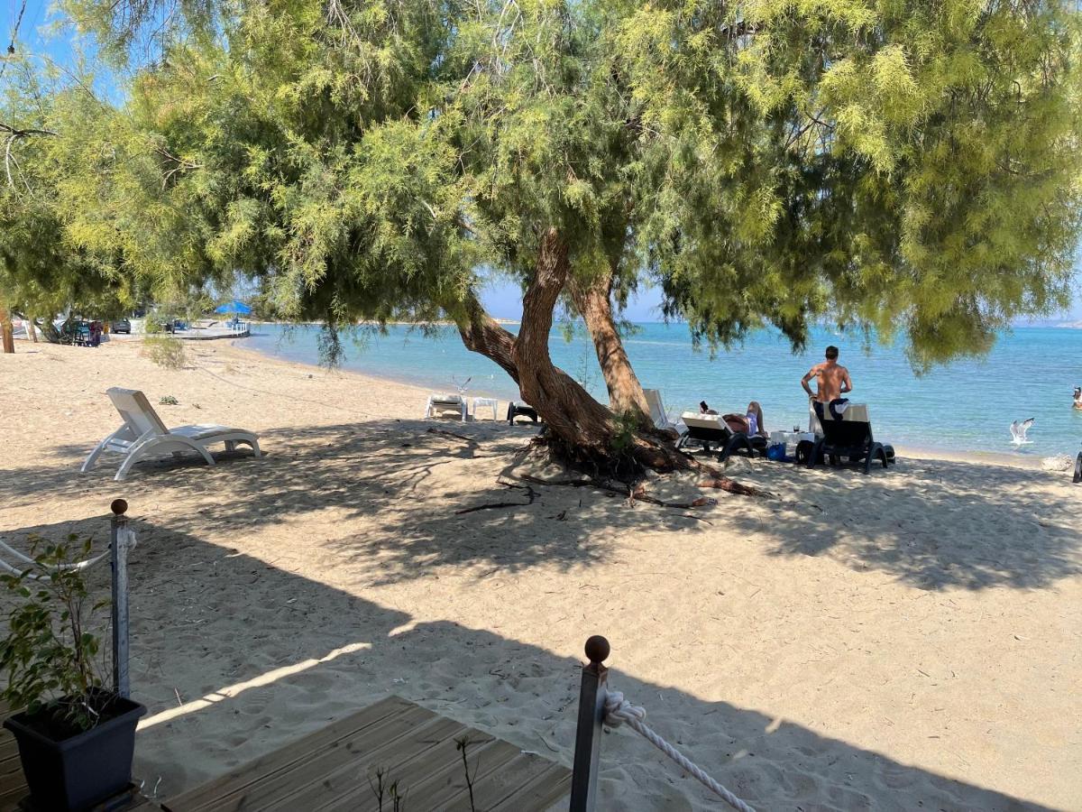Coralli Rooms & Restaurant Ελαφόνησος Εξωτερικό φωτογραφία